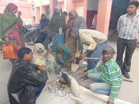 In Dwaba cold wave , rot havoc